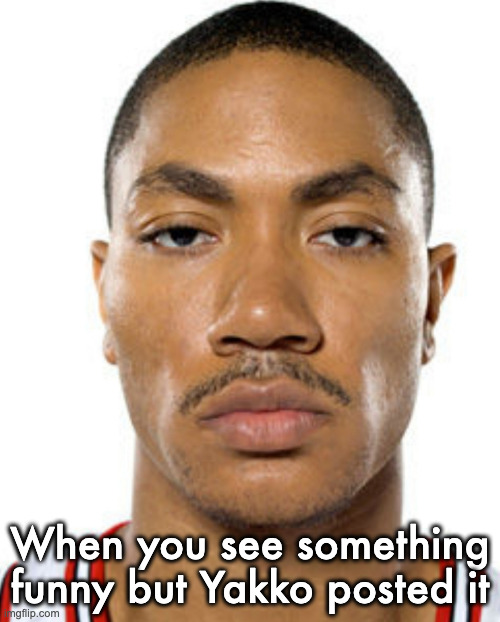 Derrick Rose Straight Face | When you see something funny but Yakko posted it | image tagged in derrick rose straight face | made w/ Imgflip meme maker
