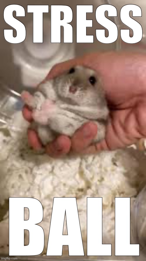 STRESS; BALL | made w/ Imgflip meme maker