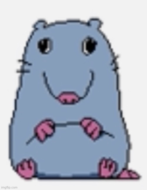 Stupid rat | image tagged in stupid rat | made w/ Imgflip meme maker
