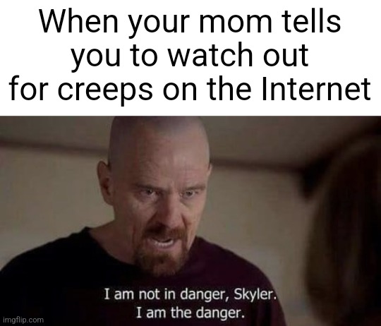 /j | When your mom tells you to watch out for creeps on the Internet | image tagged in i am the danger,internet,dark humor,walter white,breaking bad,memes | made w/ Imgflip meme maker