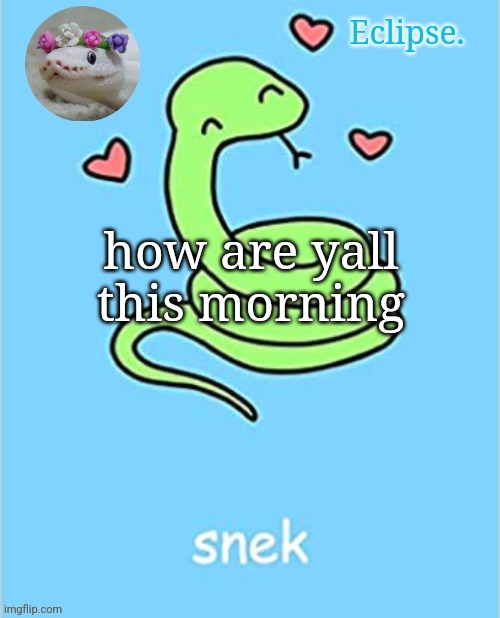 or whatever time it is for you | how are yall this morning | image tagged in h | made w/ Imgflip meme maker