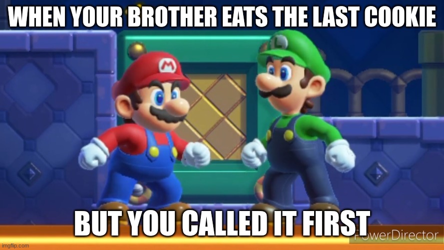 Cookie SMBW | WHEN YOUR BROTHER EATS THE LAST COOKIE; BUT YOU CALLED IT FIRST | image tagged in mario,argue | made w/ Imgflip meme maker