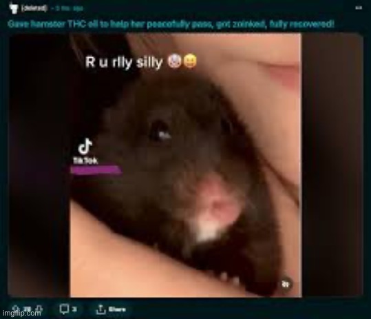 R u silly | made w/ Imgflip meme maker