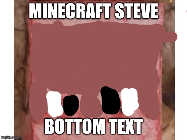 minecraft | MINECRAFT STEVE; BOTTOM TEXT | image tagged in minecraft,minecraft memes,minecraft steve | made w/ Imgflip meme maker