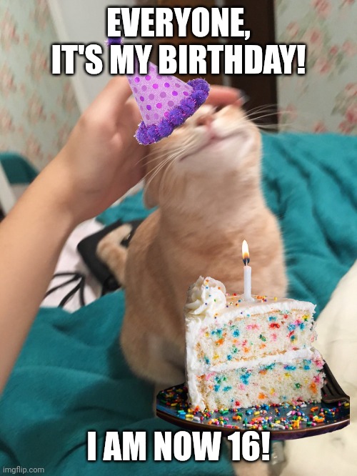 HAPPY BIRTHDAY TO ME- | EVERYONE, IT'S MY BIRTHDAY! I AM NOW 16! | image tagged in cat pat | made w/ Imgflip meme maker