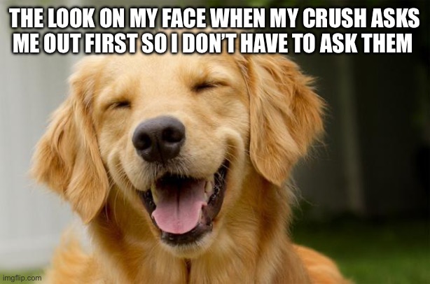 Happy Dog | THE LOOK ON MY FACE WHEN MY CRUSH ASKS ME OUT FIRST SO I DON’T HAVE TO ASK THEM | image tagged in happy dog | made w/ Imgflip meme maker