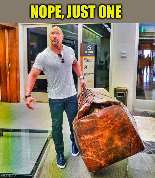 The Rock Carrying Giant Bag | NOPE, JUST ONE | image tagged in the rock carrying giant bag | made w/ Imgflip meme maker