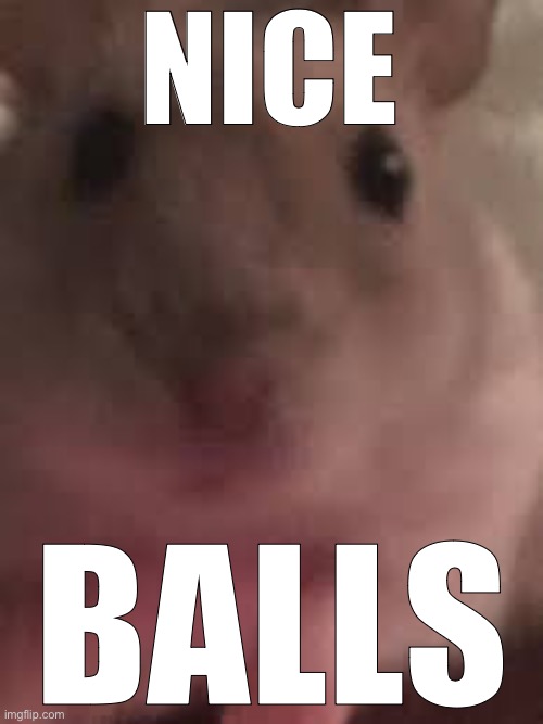 NICE; BALLS | made w/ Imgflip meme maker