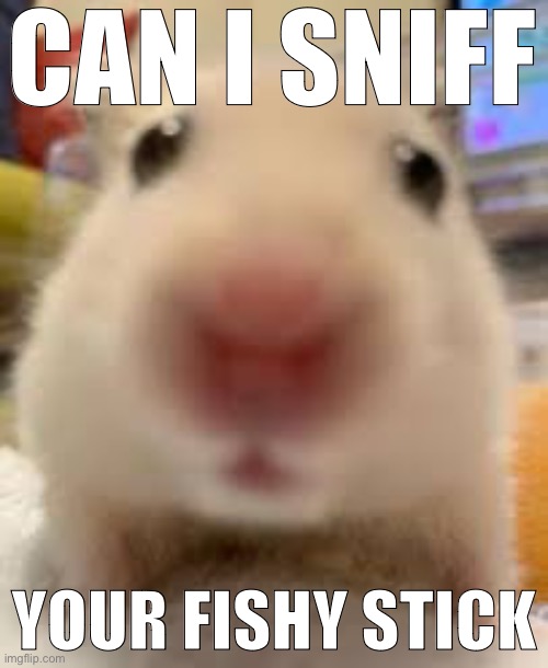 CAN I SNIFF; YOUR FISHY STICK | made w/ Imgflip meme maker