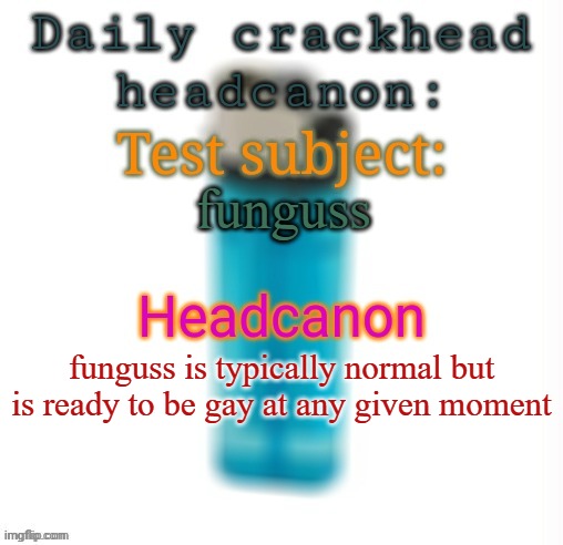 Daily crackhead headcanon | funguss; funguss is typically normal but is ready to be gay at any given moment | image tagged in daily crackhead headcanon,msmg,memes,headcanon | made w/ Imgflip meme maker