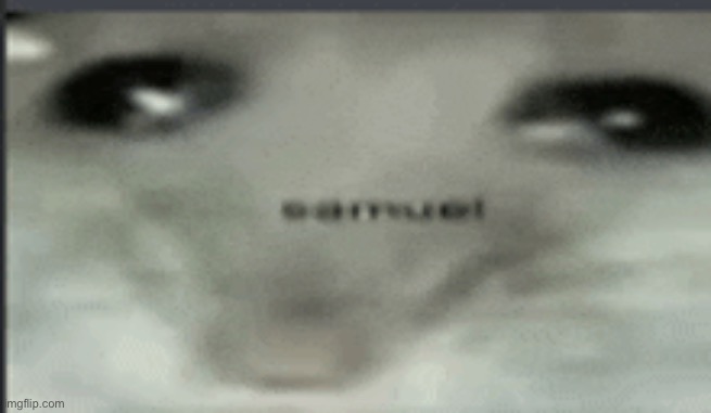 Samuel | made w/ Imgflip meme maker