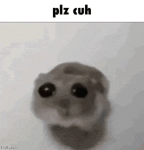 Whip it out | made w/ Imgflip meme maker