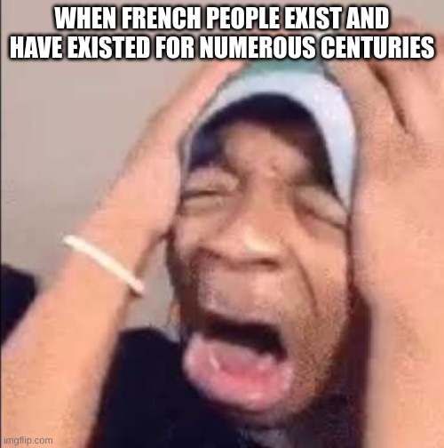 Flightreacts crying | WHEN FRENCH PEOPLE EXIST AND HAVE EXISTED FOR NUMEROUS CENTURIES | image tagged in flightreacts crying | made w/ Imgflip meme maker