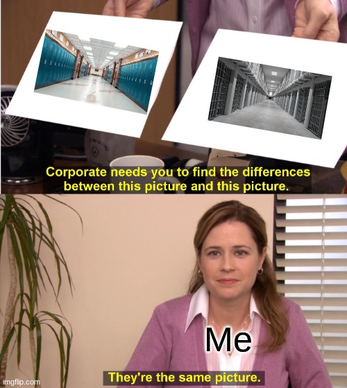 They're The Same Picture | Me | image tagged in memes,they're the same picture | made w/ Imgflip meme maker