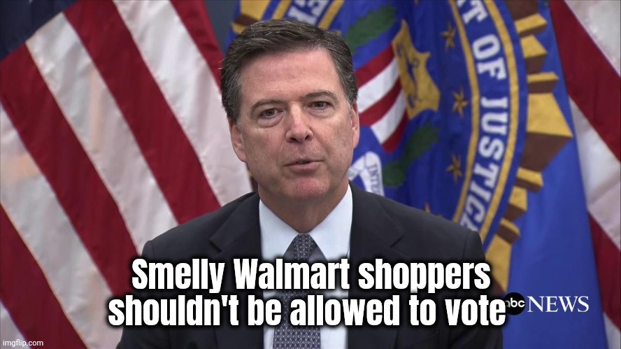 FBI Director James Comey | Smelly Walmart shoppers shouldn't be allowed to vote | image tagged in fbi director james comey | made w/ Imgflip meme maker