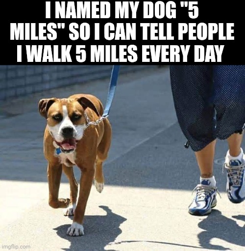 I Named My Dog "5 Miles" So I Can Tell People I Walk 5 Miles Every Day | I NAMED MY DOG "5 MILES" SO I CAN TELL PEOPLE I WALK 5 MILES EVERY DAY | image tagged in chris joines | made w/ Imgflip meme maker