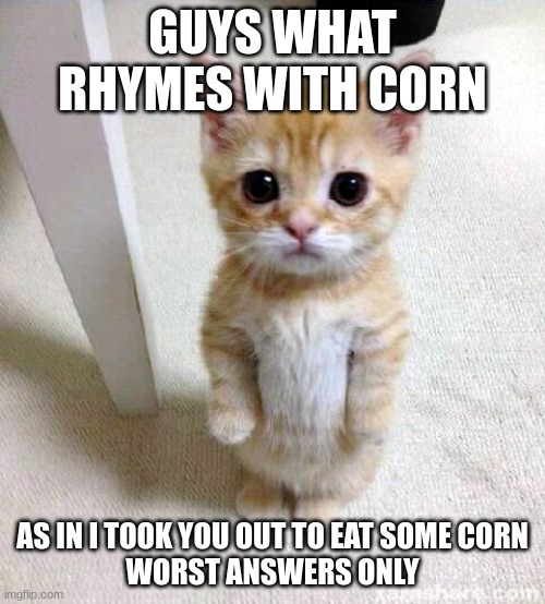 Cute Cat | GUYS WHAT RHYMES WITH CORN; AS IN I TOOK YOU OUT TO EAT SOME CORN
WORST ANSWERS ONLY | image tagged in memes,cute cat | made w/ Imgflip meme maker