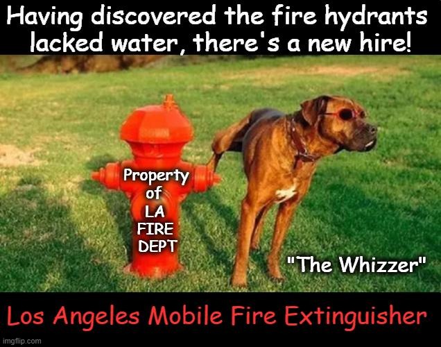 Hallelujah! Los Angeles Now Hiring Hounds for Hope! | image tagged in mobile,fire extinguisher,dogs,water supply,dogs better than woke dei hires,political humor | made w/ Imgflip meme maker