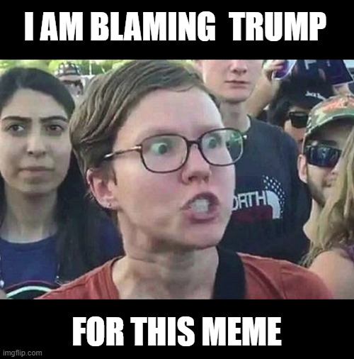 Triggered Liberal | I AM BLAMING  TRUMP FOR THIS MEME | image tagged in triggered liberal | made w/ Imgflip meme maker