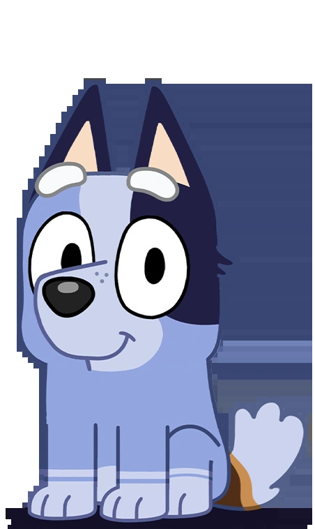 Socks Heeler Blank Meme Template