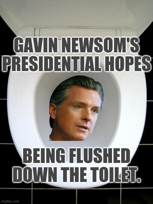 He Did It To Himself....The Fire Just Sealed The Deal | GAVIN NEWSOM'S PRESIDENTIAL HOPES; BEING FLUSHED DOWN THE TOILET. | image tagged in toilet,gavin,presidential candidates,hope,memes,politics | made w/ Imgflip meme maker