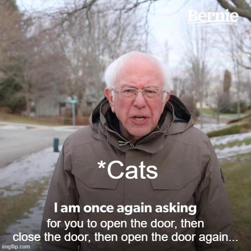 Cats For Real | *Cats; for you to open the door, then close the door, then open the door again... | image tagged in memes,bernie i am once again asking for your support | made w/ Imgflip meme maker