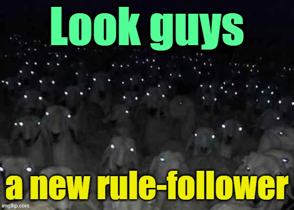 Sheep herd eyes | Look guys a new rule-follower | image tagged in sheep herd eyes | made w/ Imgflip meme maker
