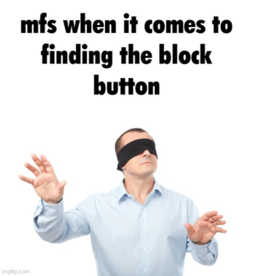 block button | image tagged in block button | made w/ Imgflip meme maker