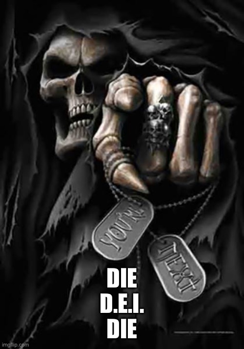 Death of D.E.I. | DIE
D.E.I.
DIE | image tagged in grim reaper,dei,death,die,merit | made w/ Imgflip meme maker