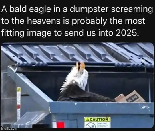 Deep thoughts with the deep | image tagged in eagle,dumpster,2025,happy new year,past,future | made w/ Imgflip meme maker