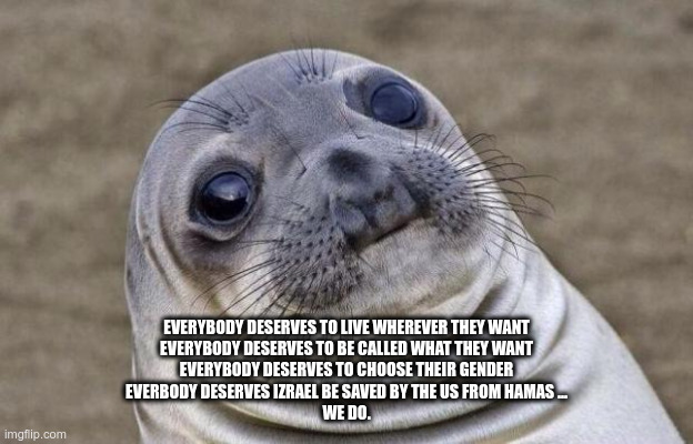 Seriously | EVERYBODY DESERVES TO LIVE WHEREVER THEY WANT
EVERYBODY DESERVES TO BE CALLED WHAT THEY WANT
EVERYBODY DESERVES TO CHOOSE THEIR GENDER
EVERBODY DESERVES IZRAEL BE SAVED BY THE US FROM HAMAS ...
WE DO. | image tagged in memes,awkward moment sealion | made w/ Imgflip meme maker