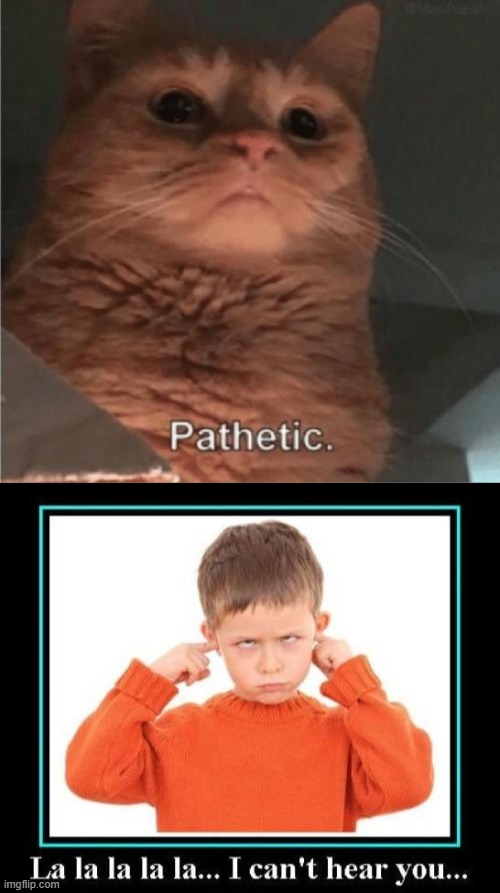 image tagged in pathetic cat | made w/ Imgflip meme maker