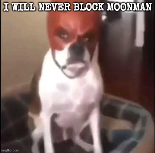 daredevil dog | I WILL NEVER BLOCK MOONMAN | image tagged in daredevil dog | made w/ Imgflip meme maker