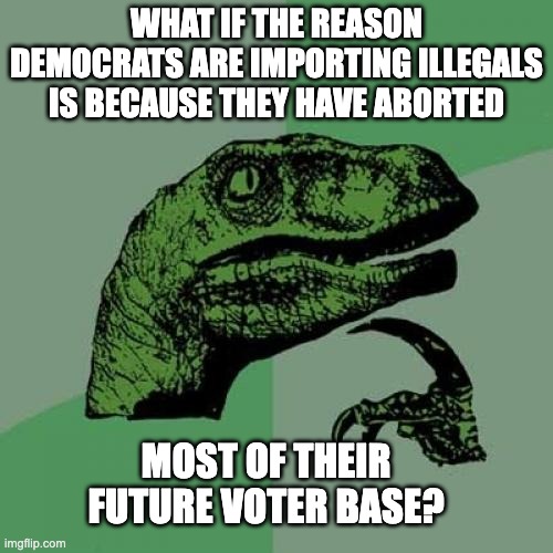 Philosoraptor | WHAT IF THE REASON DEMOCRATS ARE IMPORTING ILLEGALS IS BECAUSE THEY HAVE ABORTED; MOST OF THEIR FUTURE VOTER BASE? | image tagged in memes,philosoraptor | made w/ Imgflip meme maker