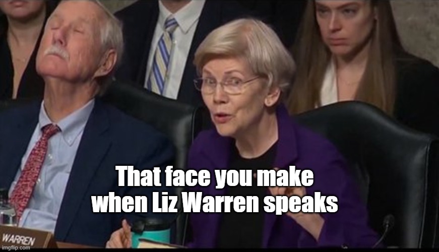 When Liz Warren speaks | That face you make when Liz Warren speaks | image tagged in liz warren,politics,senator warren | made w/ Imgflip meme maker