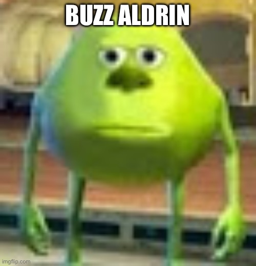 Sully Wazowski | BUZZ ALDRIN | image tagged in sully wazowski | made w/ Imgflip meme maker