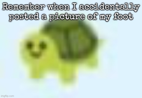 It was on accident | Remember when I accidentally posted a picture of my foot | image tagged in low quality turtle,msmg | made w/ Imgflip meme maker