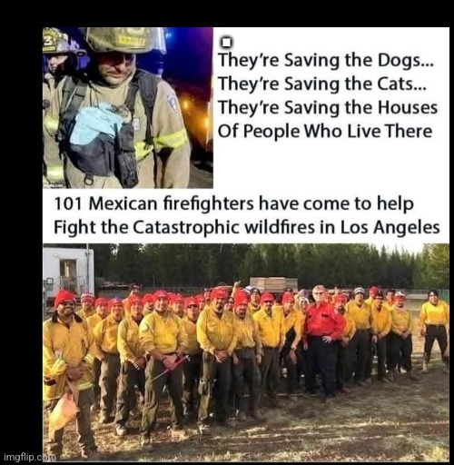 They are saving the dogs... | . | image tagged in donald trump,trump,california fires,nevertrump,nevertrump meme,maga | made w/ Imgflip meme maker