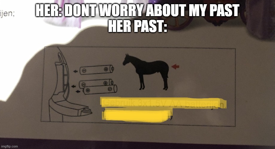 for context: this unhinged battery instructions where on the box of one of my siblings birthday presents | HER: DONT WORRY ABOUT MY PAST
HER PAST: | image tagged in too funny,batteries | made w/ Imgflip meme maker