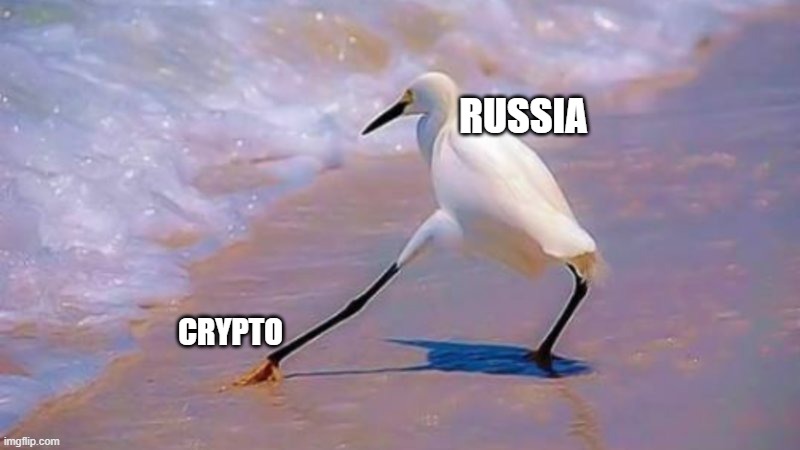 Bird touching water | RUSSIA; CRYPTO | image tagged in bird touching water | made w/ Imgflip meme maker