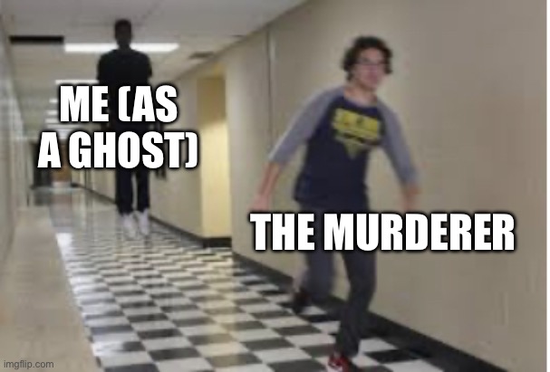 GET BACK HERE BOI- | ME (AS A GHOST); THE MURDERER | image tagged in running down hallway | made w/ Imgflip meme maker