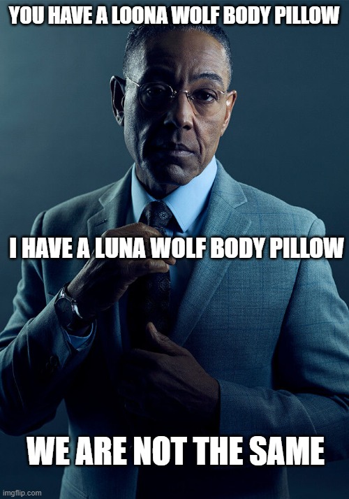 We are not the same | YOU HAVE A LOONA WOLF BODY PILLOW; I HAVE A LUNA WOLF BODY PILLOW; WE ARE NOT THE SAME | image tagged in gus fring we are not the same | made w/ Imgflip meme maker