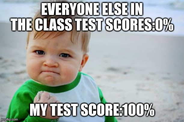 Success Kid Original | EVERYONE ELSE IN THE CLASS TEST SCORES:0%; MY TEST SCORE:100% | image tagged in memes,success kid original | made w/ Imgflip meme maker