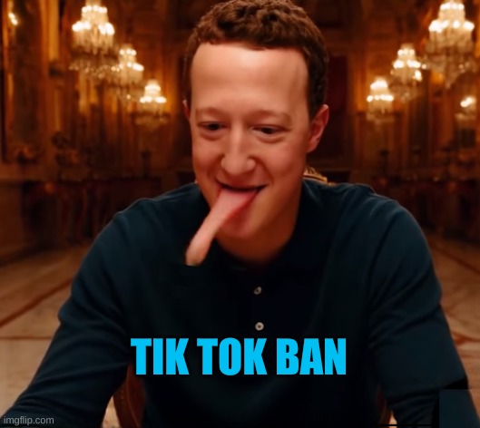 Lizardberg | TIK TOK BAN | image tagged in lizardberg,stupid criminals,us government,scumbag,tik tok ban,meta | made w/ Imgflip meme maker