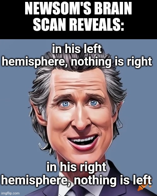 NEWSOM'S BRAIN SCAN REVEALS:; in his left hemisphere, nothing is right; in his right hemisphere, nothing is left | made w/ Imgflip meme maker