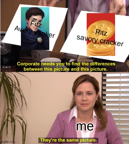 They're The Same Picture Meme | Fitz Avery vacker; Ritz savory cracker; me | image tagged in memes,they're the same picture | made w/ Imgflip meme maker