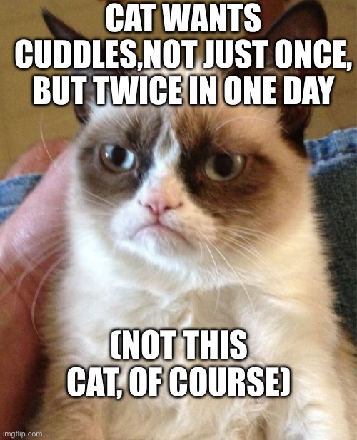 Another loved cat… | CAT WANTS CUDDLES,NOT JUST ONCE, BUT TWICE IN ONE DAY; (NOT THIS CAT, OF COURSE) | image tagged in memes,grumpy cat,cats,funny cats | made w/ Imgflip meme maker