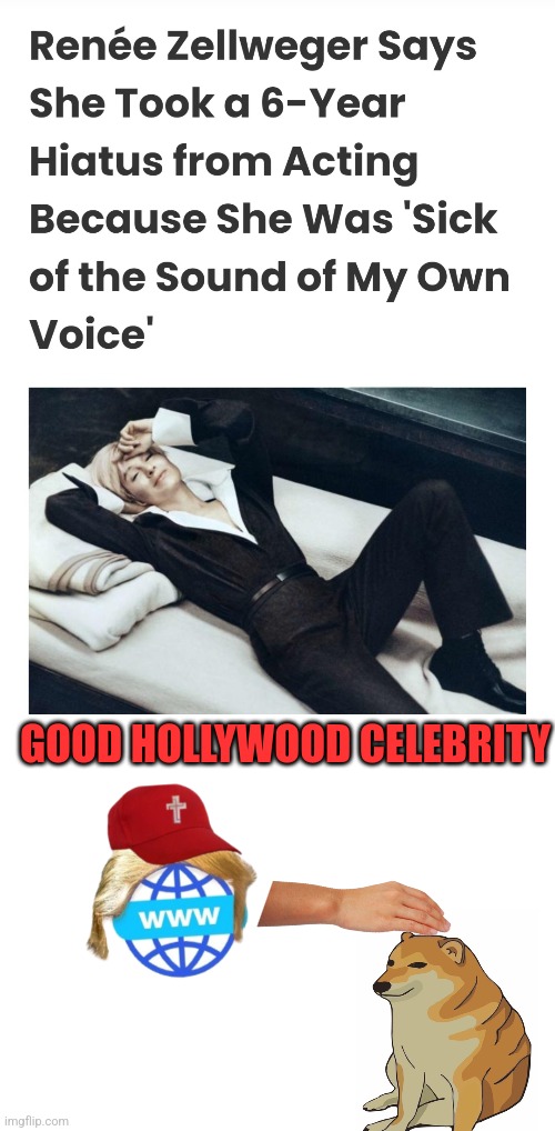 Mainstream media in 3, 2 | GOOD HOLLYWOOD CELEBRITY | image tagged in blank white template,mainstream media,internet | made w/ Imgflip meme maker