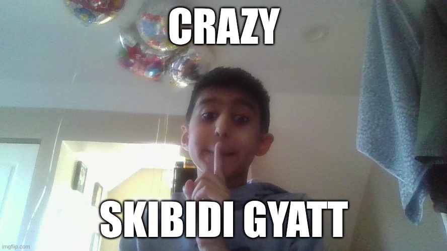 SKIBIDI GYATT | CRAZY; SKIBIDI GYATT | image tagged in funny memes | made w/ Imgflip meme maker