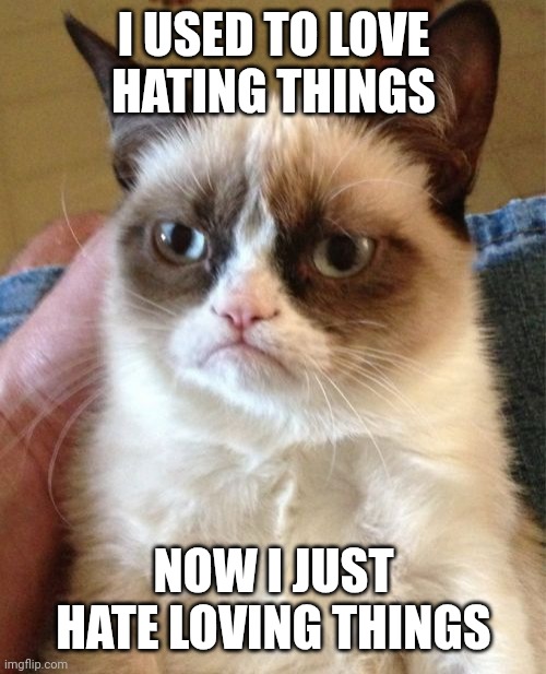 Grumpy Cat | I USED TO LOVE HATING THINGS; NOW I JUST HATE LOVING THINGS | image tagged in memes,grumpy cat,love,hate | made w/ Imgflip meme maker